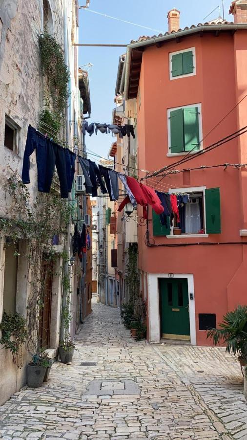 Davor Holiday Apartments Rovinj Dış mekan fotoğraf