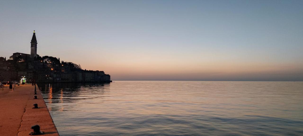 Davor Holiday Apartments Rovinj Dış mekan fotoğraf